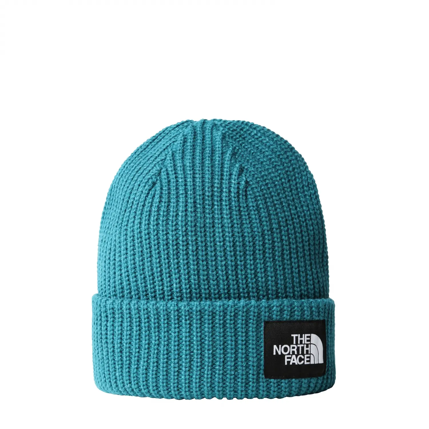 THE NORTH FACE Salty Dog Beanie Mavi Unisex Bere  -NF0A3FJW2W91