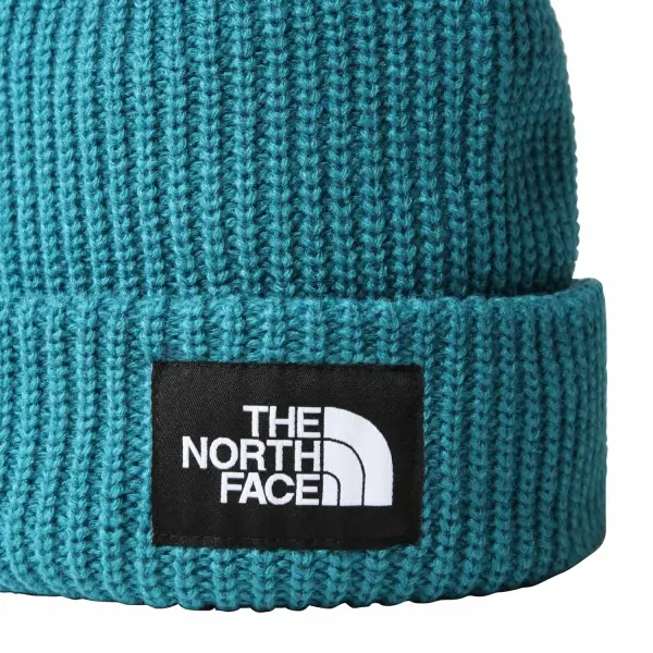 THE NORTH FACE Salty Dog Beanie Mavi Unisex Bere  -NF0A3FJW2W91