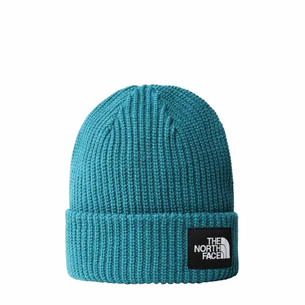 THE NORTH FACE Salty Dog Beanie Mavi Unisex Bere  -NF0A3FJW2W91