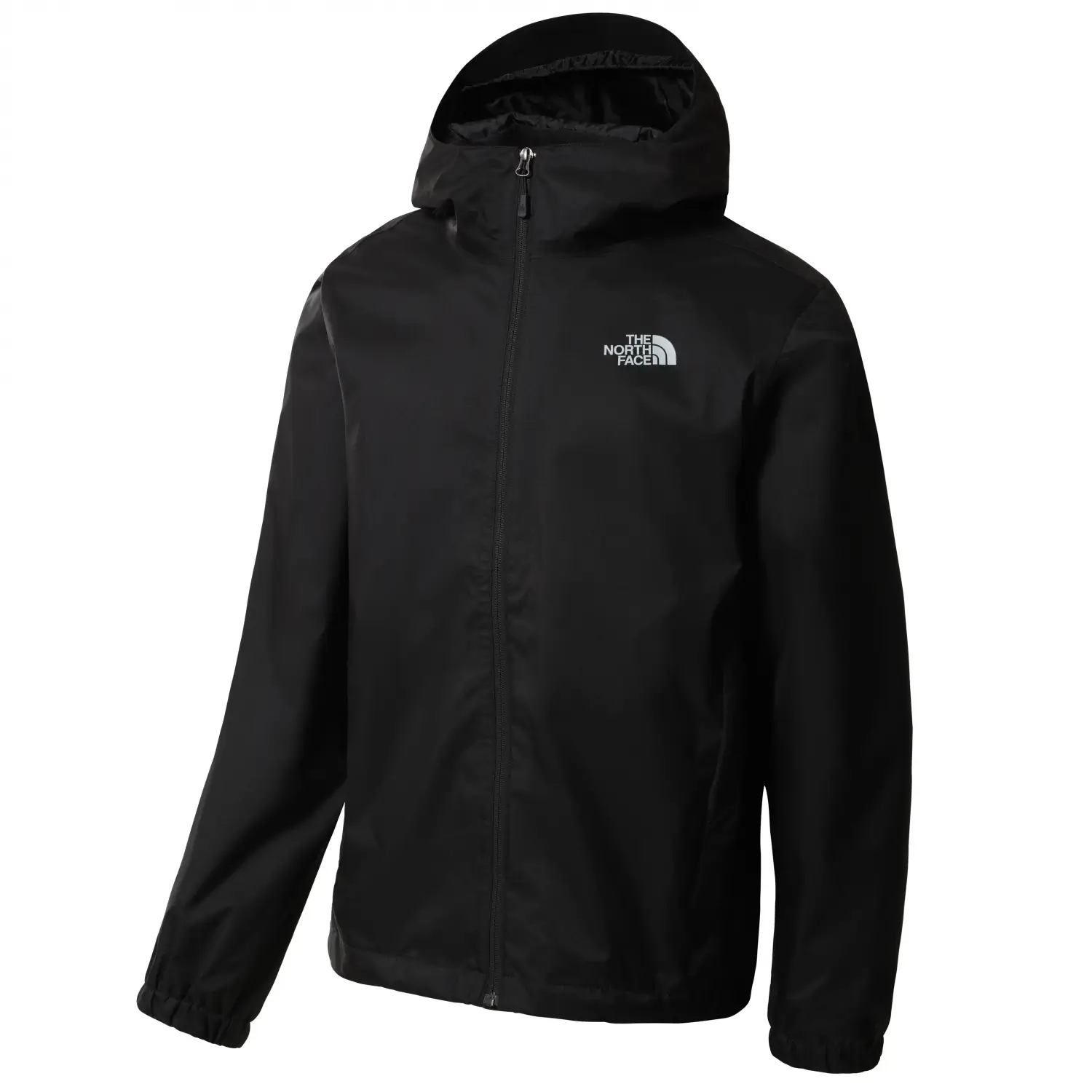 THE NORTH FACE Quest Siyah Erkek Mont NF00A8AZJK31